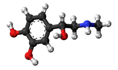 中國成為全球最大氟橡膠生產(chǎn)和消費(fèi)國